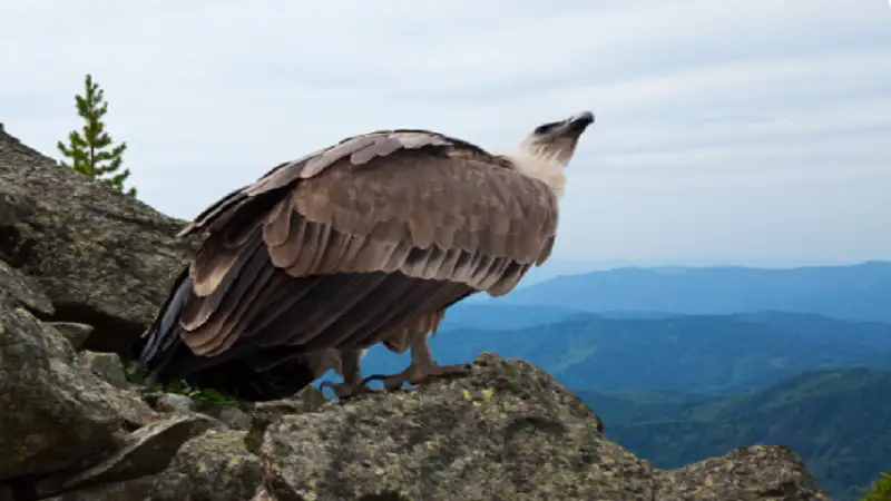 Eagle Mountain Elementary: A Foundation for Lifelong Learning