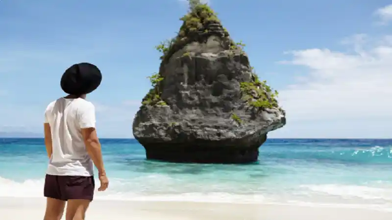 What Is Interesting About Beevitius Islands