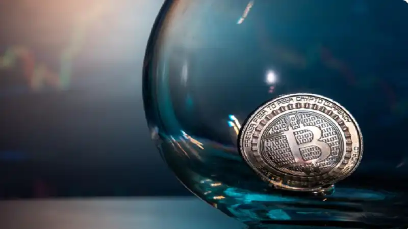 Cryptopronetwork com Waters: Benefits, Risks, and Insights